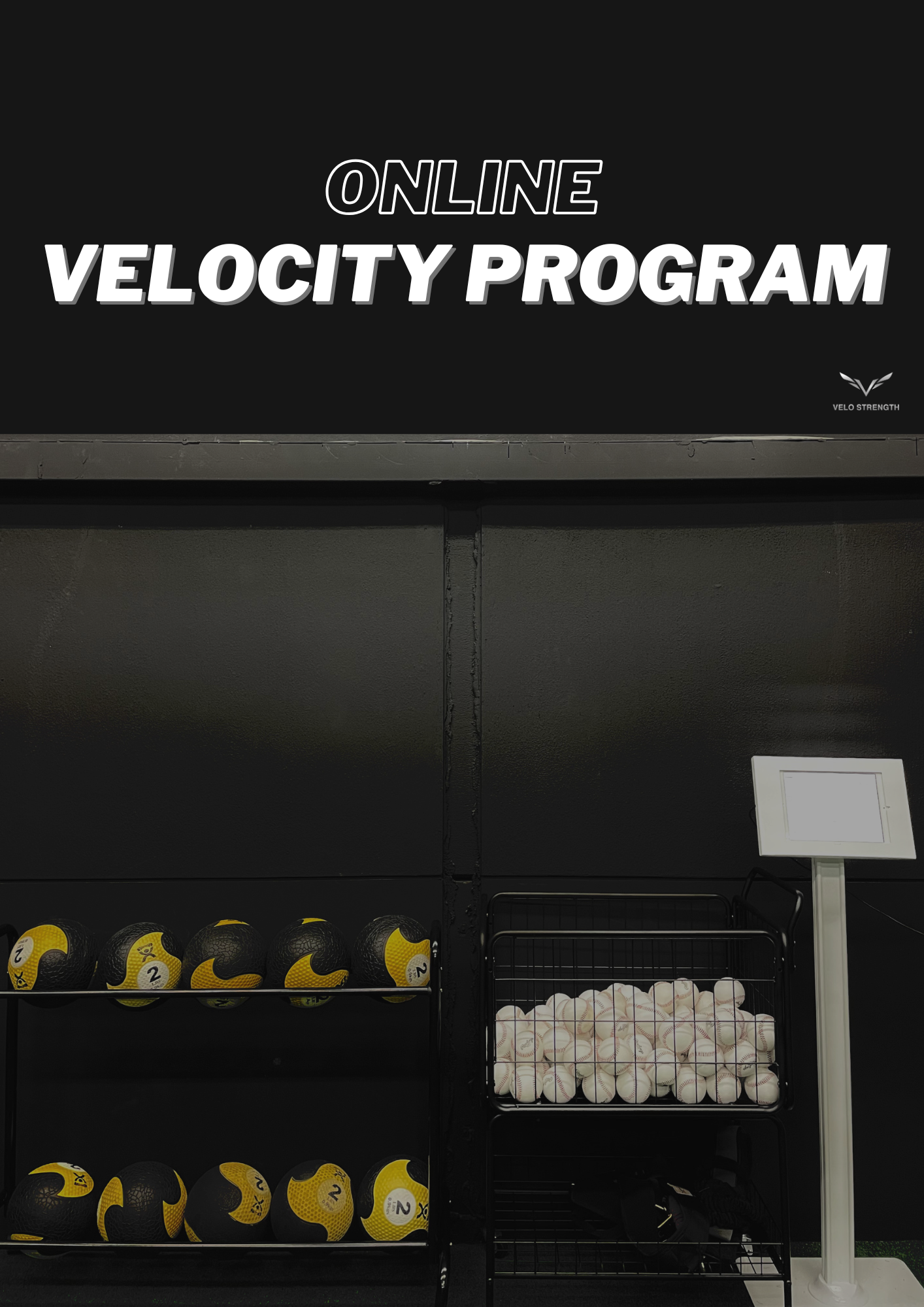 ONLINE VELOCITY PROGRAM