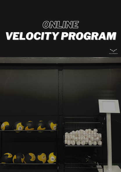 ONLINE VELOCITY PROGRAM