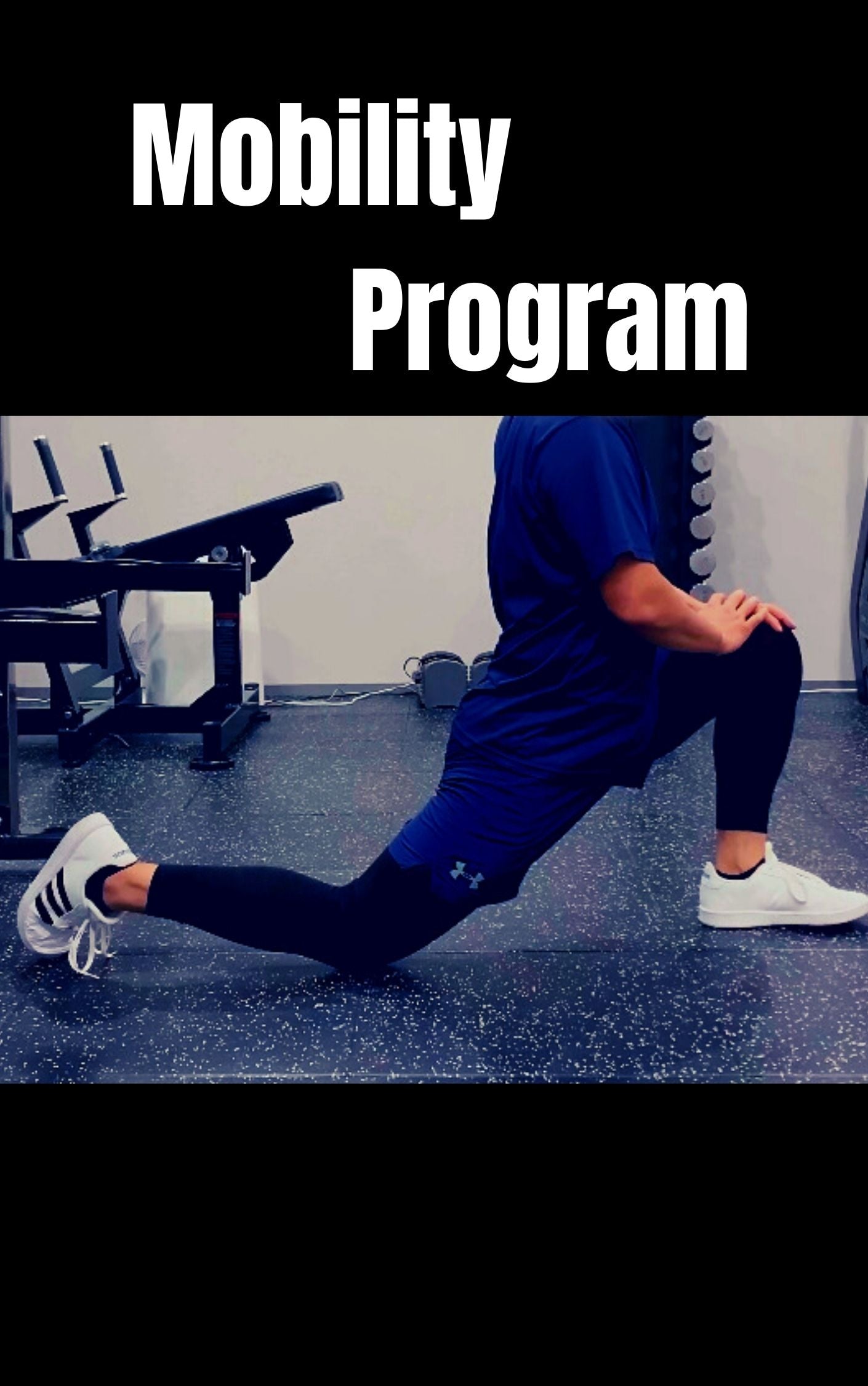 Mobility Program モビリティプログラム